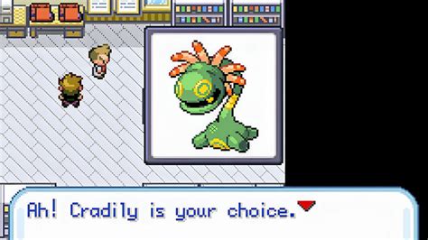 how do you randomize a pokemon game|Does anyone know how to randomize a 3ds pokemon game : .
